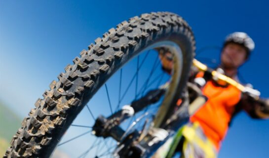 Radfahren auf Waldwegen zulässig?