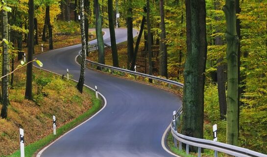 Verkehrssicherungspflicht für abbrechende Äste im öffentlichen Straßenverkehr
