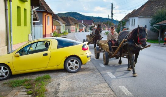 Kollision zwischen Bus und geführtem Reitpferd – Haftungsanteil des Tierhalters